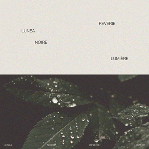 CBA李梦毛片免费观看
